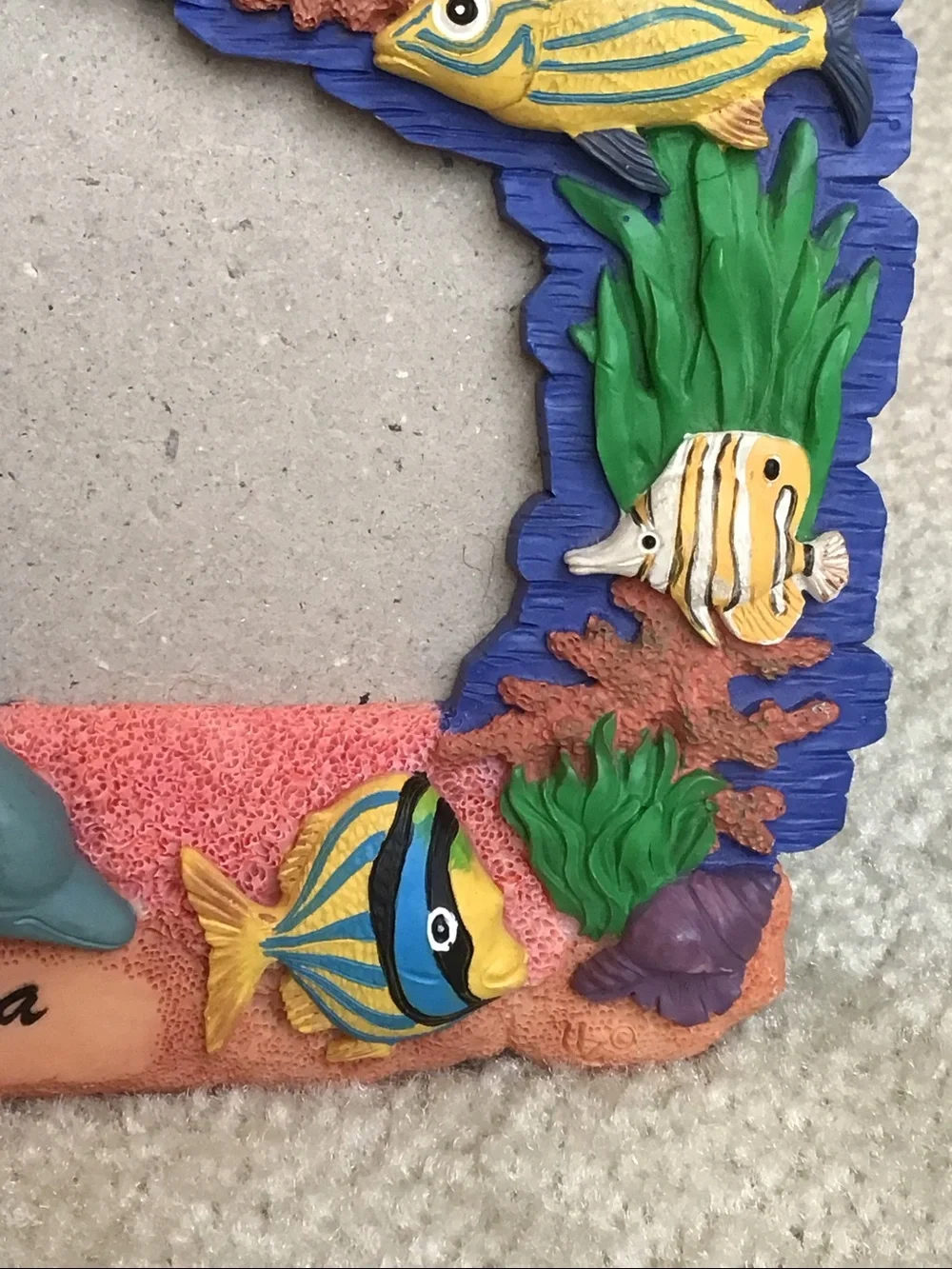 Fun Aquatic Florida Frame, 5 1/2” x 6 1/2”